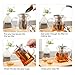 Glass Teapot with Infuser-450/500/750 ml Microwavable and Stovetop Safe (750)