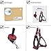 ARIKON Dog Leash Harness, Adjustable and Heavy Duty Durable Denim Dog Leash Collar for Training Walking Running, Best for Large Medium Small Dog