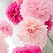 HAZOULEN Tissue Paper Pom Poms for Party Decorations, 10