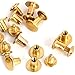 Round Flat Head Chicago Screws Buttons for Leather Crafting, 1/4 Inches (6mm) Repair Screw Post Fastener, Metal Nail Rivet Studs, Gold, 30 Sets, Diameter 5/16 Inches (8mm)