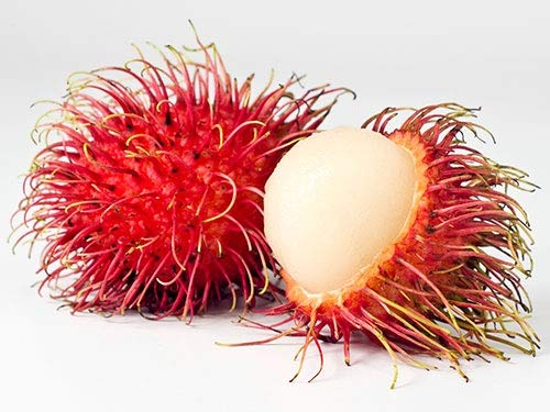 Fresh Rambutans from Jiro's Garden, Fresh, Sweet, Delicious (2 POUNDS)