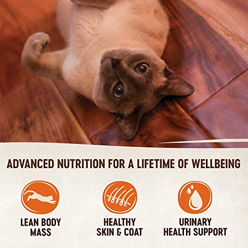 Wellness Core Natural Grain Free Wet Canned Cat Food, Beef, Venison & Lamb, 5.5Ounce Can (Pack