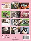 Image de El Gatito 2016 Calendario de Pared (Edicion Espana) (Spanish Edition)