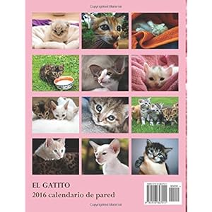 El Gatito 2016 Calendario de Pared (Edicion Espana) (Spanish Edition)