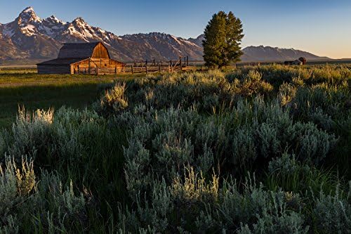 Utah Nature Photography 24x36 Inch Unframed High Definition Nature Art Poster Grand Tetons National Park TA Moulton Barn at Sunrise Mountains
