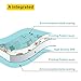 Gupamiga Play mat Baby PlayMat Baby mat Kids Play mat XPE Foam Floor Gym Slip Thickening Reversible Waterproof Play mat for Toddlers Portable Double Sides Toddler Outdoor or Indoor (47x71x0.8in)