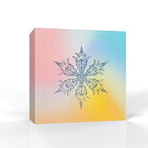 wall26 - Canvas Wall Art - Snowflake Theme...