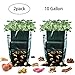 Potato Grow Bags, 10 Gallon Garden Planter Plant Growing Bag with Flap and Handles Heavy Duty and Durable Potato Pots for Vegetables, Fruit, Carrot, Tomato, Onion, 2 Pack