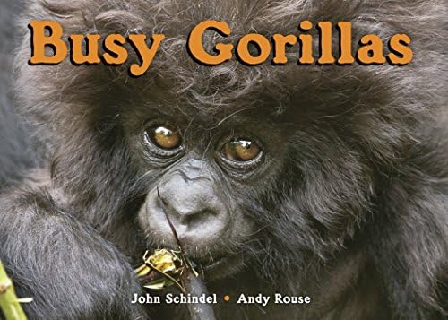 Busy Gorillas (Busy Book) (Busy Books (Tricycle Press)) (A Busy Book)