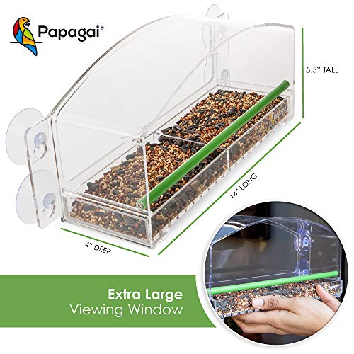Best Window Feeders Top 5 In 2020 Bird Feeder Hub