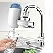 AnGeer Faucet Water Filter Pineapple Shaped Water Purifier System for Home