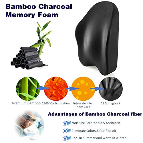 Winjoy Ergonomic Lumbar Support Pillow, 100% Pure Memory Foam Back Cushion with Breathable 3D Back Pillow Design for Lower Back Pain Relief,Durable Adjustable Straps for Chair/Recliner/Car Seat