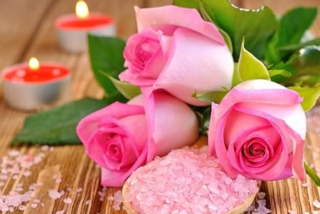 Amazon Co Jp 特大 ポスター ぼかしバラ塩キャンドル 壁紙ウォールステッカーポスター 594x4mm Generic