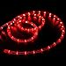 WYZworks 1116LEDs 100ft LED Outside Rope Lights, Outdoor ETL Certified Waterproof Permanent 360 Degree Light Emitting, Flexible Tube, Connectable, Christmas Palm Tree Exterior Landscape, Red