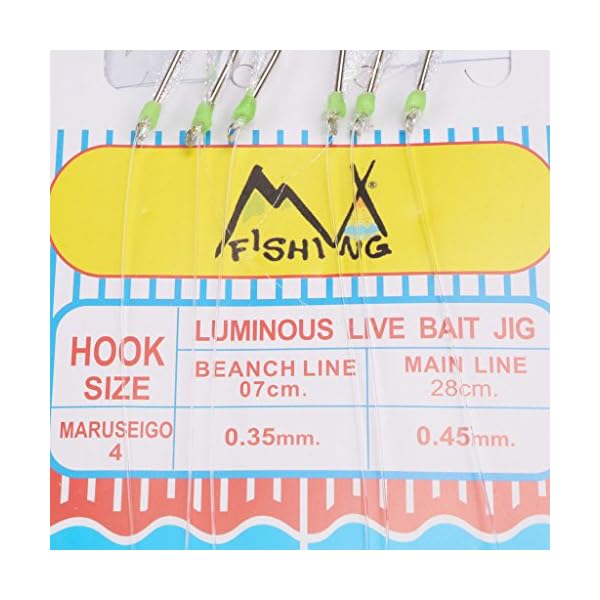 Mizugiwa-10-Packs-Freshwatersaltwater-Fishing-Sabiki-Bait-Rigs-Fish-Feather-4-Hooks