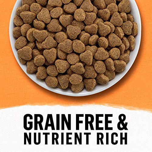 Purina Beyond Grain Free, Natural Dry Cat Food, Grain Free White Meat