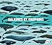 Baleines et dauphins : Histoire naturelle et guide des espèces by 