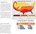 Tankless Gas Water Heater Excel Pro NATURAL GAS 6.6 GPM Whole House and for Hydronic heating Compare to Rinnai, Rheem ,Noritz, Bosch FREE FLUE KIT
