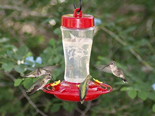 Amazon Com Homestead 3910 12 Ounce Hummingbird Feeder Etched