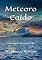 Livro Meteoro Caído: Um romance do Universo AIC (A Série Universo AIC Livro 4)