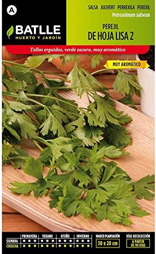 Semillas de Perejil Común de hoja lisa 2: Amazon.es: Jardín