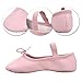 STELLE Premium Leather Ballet Slipper/Ballet Shoes(Toddler/Little Kid/Big Kid) (1MB, Pink)
