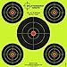Splatterburst Targets - 12 x12 inch (5) Bullseye Reactive Shooting Target - Shots Burst Bright Fluorescent Yellow Upon Impact - Gun - Rifle - Pistol - Airsoft - BB Gun - Air Rifle (50 Pack)