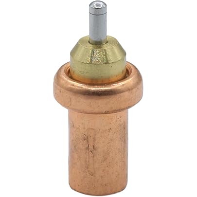 Amazon.com: 22186720 22463368 22831341 Thermostatic Valve Kit 