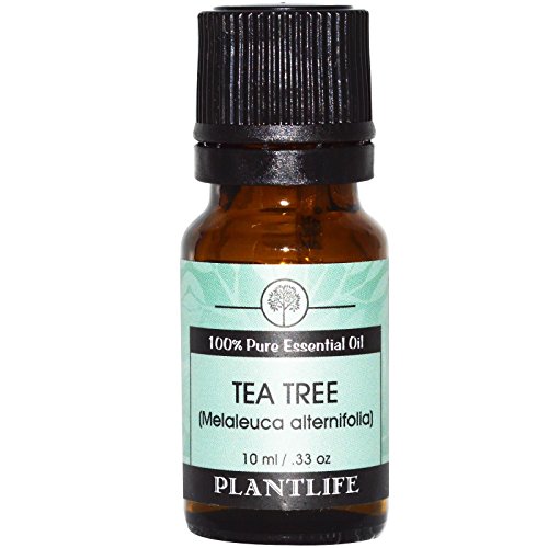 Tea tree 100% pure essential oil - 10 ml
