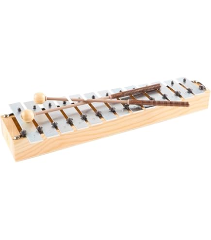 Amazon.com: Studio 49 AGd 2000 Alto Glockenspiel : Musical Instruments