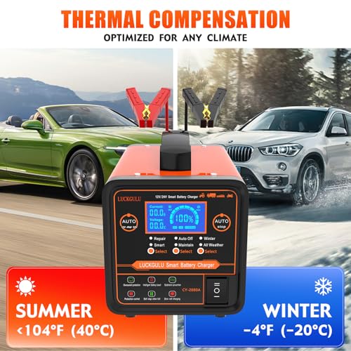 Caricabatterie Auto 12V/24V 20A Professionale, Caricatore e Mantenitore Automatico con Modalità Riparazione, Programma Invernale, Arresto Automatico,Ricarica Rapida per Auto,Camion,Moto,Camper