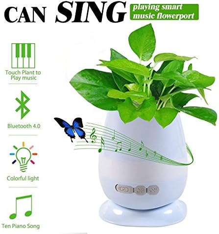 Wireless Bluetooth Speaker, INVENBER【Updated】4 IN 1 Multi-functional Touch Lamp + LED Night Light + Musical Boxes + Rechargeable Smart Music Flower Pot with Anti-overflow Tray (Gray)