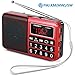PRUNUS Portable Radio SW/FM/AM(MW)/MP3/USB/SD/TF Rechargeable with Neodymium Speaker. Large Button and Large Display. Stores Stations Automatically. (NO Manual Memory/Delete Stations Function)