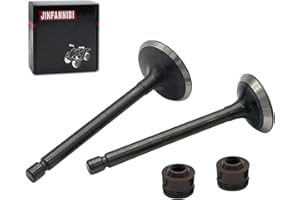 JINFANNIBI Cylinder Head Intake Exhaust Valve Compatible for Yamaha TTR 125 TTR125 TTR125L TTR125E TTR125LE 2000-2018 5HP-12111-01-00 5HP-12121-00-00