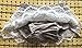 Bysweet Baby Girl Bloomers Diaper Covers Toddler Lace Flower Skirts White and Gray 2 Pack (0-6M, Gray White)