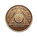 8 Month Bronze AA (Alcoholics Anonymous) - Sober / Sobriety / Birthday / Anniversary / Recovery / Medallion / Coin / Chip by Generic