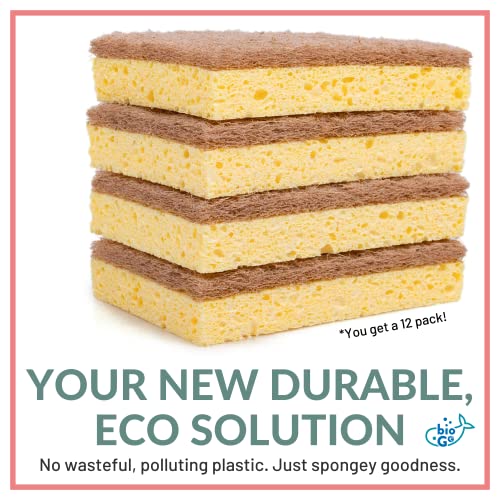bioGo 12 Biodegradable Sponges Kitchen Eco Reusable Cellulose Sponges