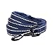 Blueberry Pet Essentials Durable 3M Reflective Classic Dog Leash 5 ft x 3/4