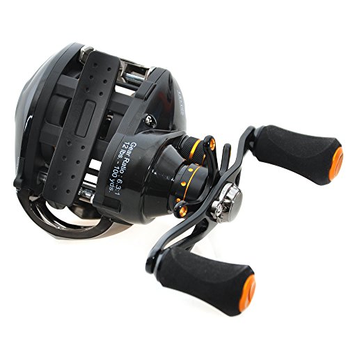 Piscifun Baitcasting Fishing Reel 13 + 1 Shielded Bearings Baitcaster