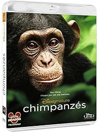 Chimpanzés