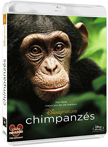Chimpanzés