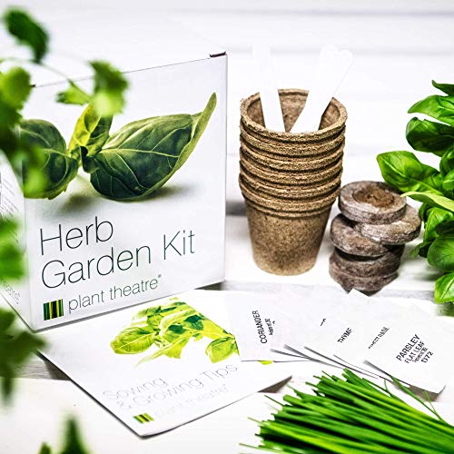 Plant Theatre Herb Garden Seed Kit Gift Box - 6 Different Herbs to Grow, Includes: GREEN ITALIAN PARSLEY, SWEET BASIL, CILANTRO, TARRAGON, CHIVE AND THYME Seeds. Everything you need to start growing in one box! Superb Gift!