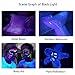 UV Flashlight Black Light, Edbella 51 LED 395 nM Ultraviolet Blacklight Detector for Dry Dog Urine, Pet Stains and Bed Bug