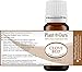 Clove Bud Essential Oil 10 ml 100% Pure Undiluted Therapeutic Grade for Aromatherapy Diffuser, Natural Remedies for Skin, Body, Hair. Great for DIY Candle and Soap Making.