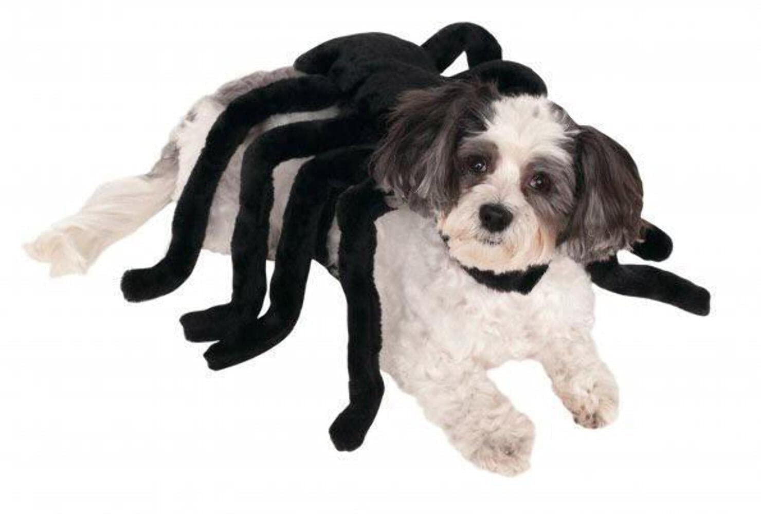 Rubie's Pet Spider Harness Costume, Multicolor, Medium