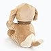 Baby Gund Gund Spunky ABC 123 doggie Animated Stuffed Animal Plush