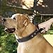 PET ARTIST Genuine Leather Dog Collar Walking & Training Heavy Duty Dog Collar Handle Medium & Large Dogs Neck for 16-20.5''(1.1