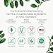 HAN Skincare Cosmetics All Natural Concealer, Light-Medium
