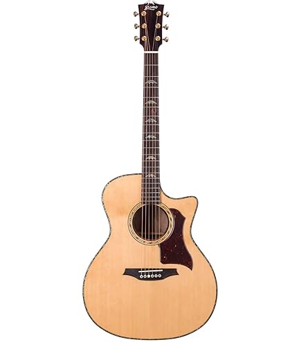 Amazon.com: Recording King 6 String Acoustic Guitar, Right