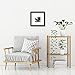 Americanflat 8x8 Picture Frame with Shatter-Resistant Glass - Use as 4x4 Frame with Mat or Display 8x8 Photo Without Mat - Signature Collection - Square Frames for Tabletop and Wall Display - Black